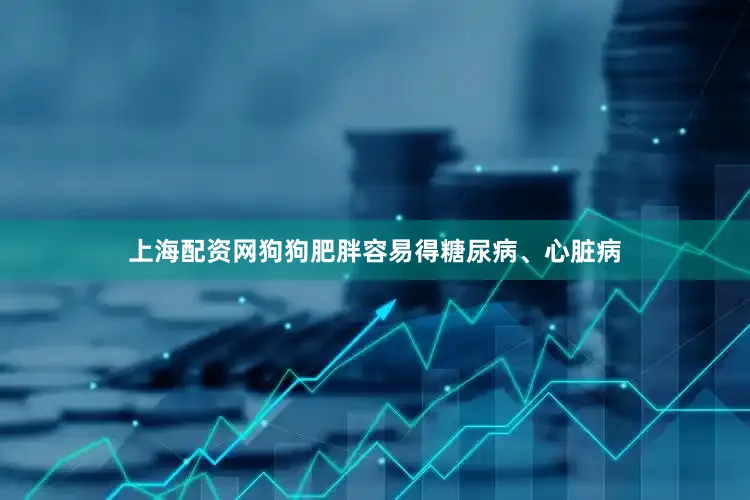 上海配资网狗狗肥胖容易得糖尿病、心脏病
