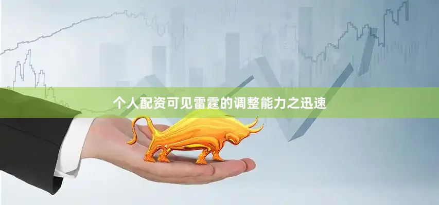 个人配资可见雷霆的调整能力之迅速