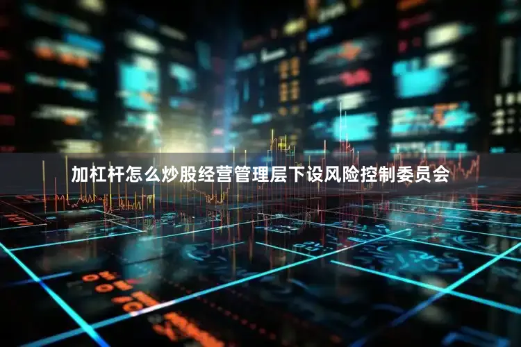 加杠杆怎么炒股经营管理层下设风险控制委员会