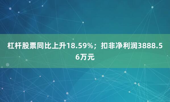 杠杆股票同比上升18.59%；扣非净利润3888.56万元