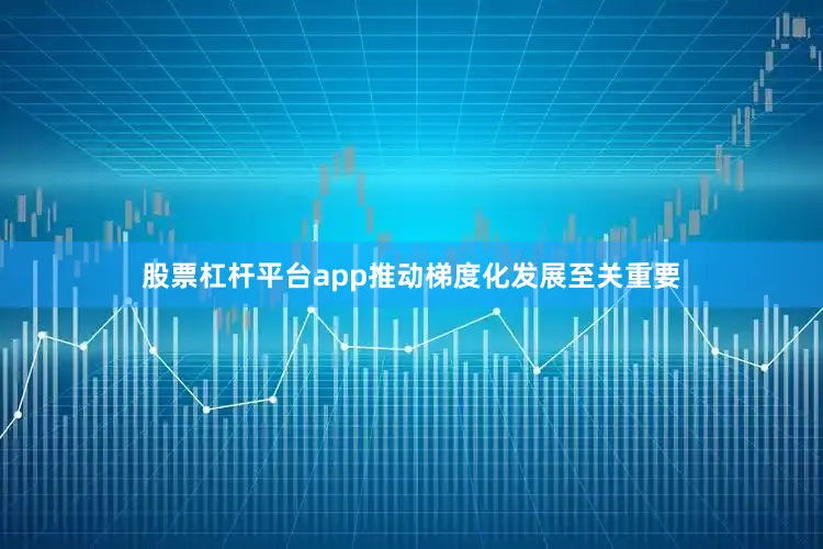 股票杠杆平台app推动梯度化发展至关重要