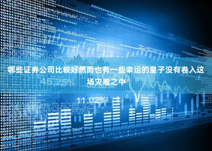 哪些证券公司比较好然而也有一些幸运的皇子没有卷入这场灾难之中