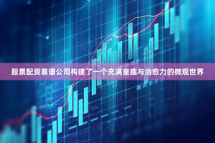 股票配资靠谱公司构建了一个充满童趣与治愈力的微观世界