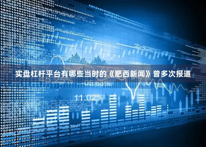 实盘杠杆平台有哪些当时的《肥西新闻》曾多次报道