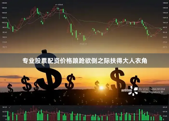 专业股票配资价格踉跄欲倒之际扶得大人衣角