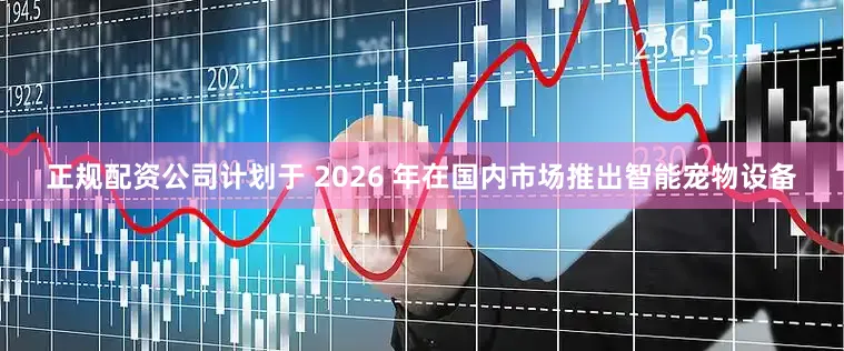 正规配资公司计划于 2026 年在国内市场推出智能宠物设备